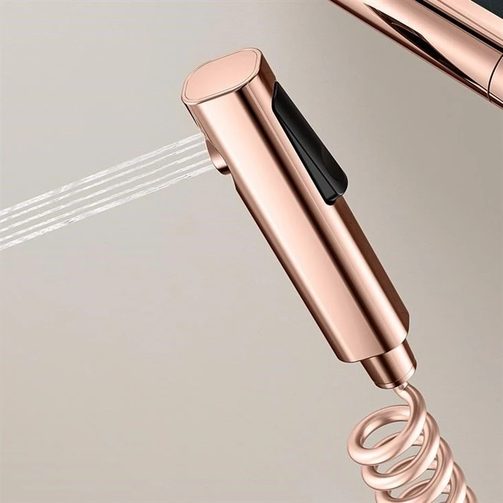 Shower Set Bidet Sprayer
